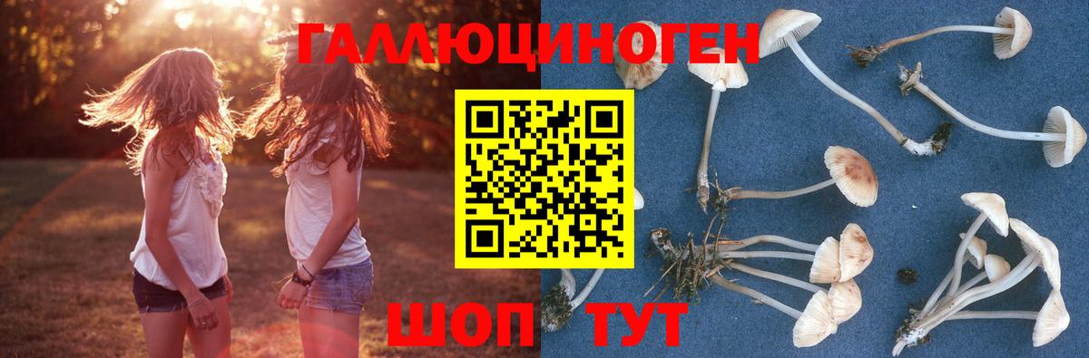 Псилоцибиновые грибы мухоморы Чернушка